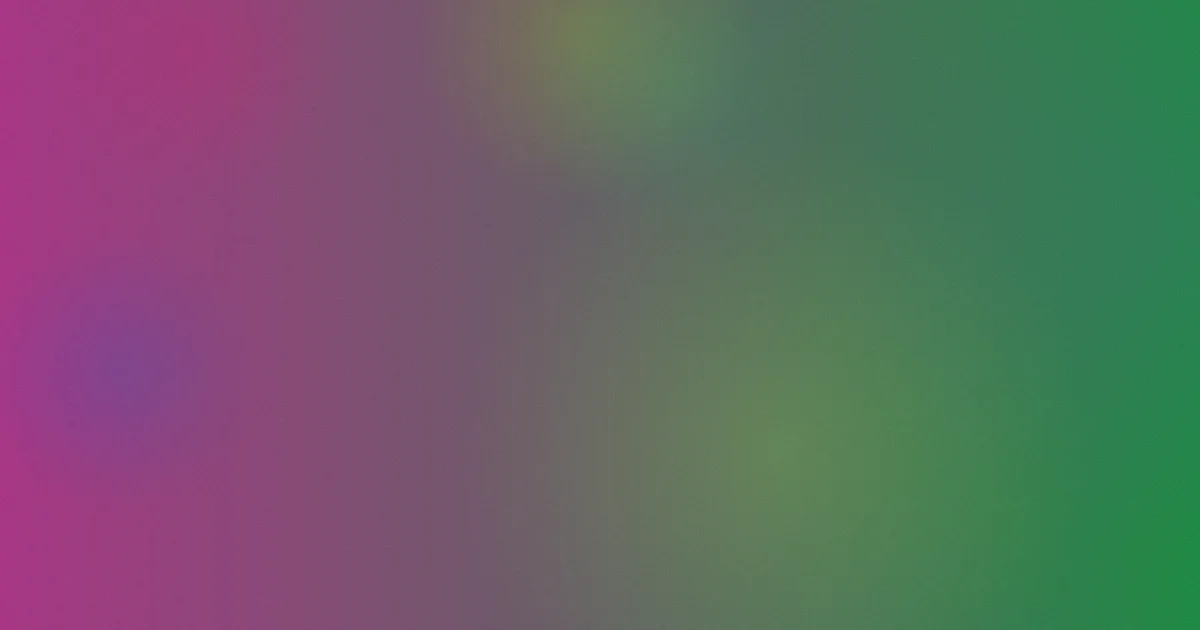 张保仔怎么用：长洲实测笔记